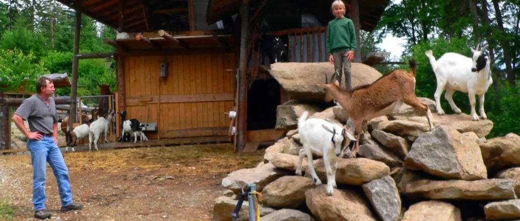 Ferienhütten mit Streicheltieren im Bayerischen Wald Günstiger Familien und Gruppenurlaub in Bayern / Bayerischer Wald